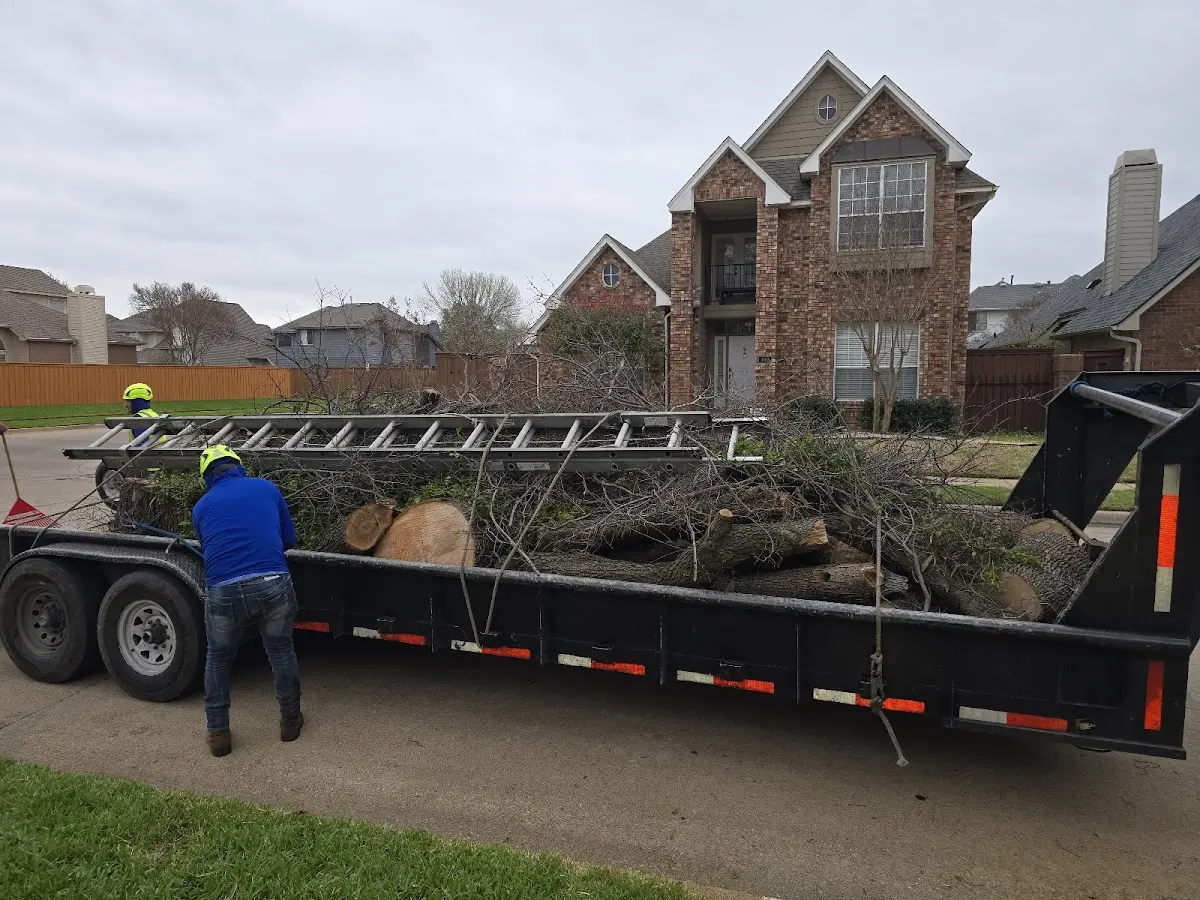 Expert Tree Pest Control with proper safety equipment in Mexico Beach